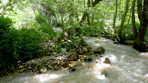 A spring flowing fast in a Lebanese forest Stock Footage 132489723