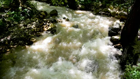 A spring flowing fast in a Lebanese forest 動画素材 132489762