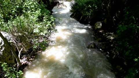 A spring flowing fast in a Lebanese forest 動画素材 132500746
