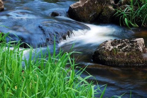 Spring flowing stream Stock Photos
