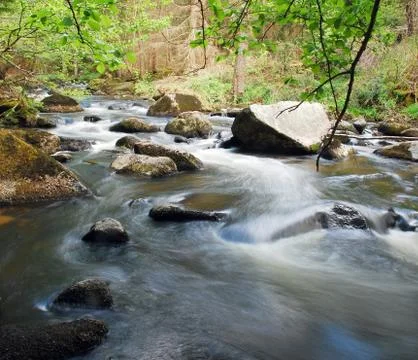 Spring flowing stream Stock Photos