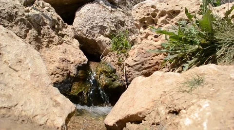 Spring Flows Among Stones Stock Footage 46127297