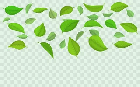 Spring flying falling green leaves Stock Illustration