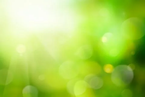 Spring foliage abstract background. Blurred backdrop with spring colors Stock Photos