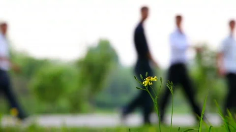 Spring Stock Footage 380519