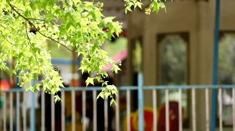 Spring Stock Footage 704609