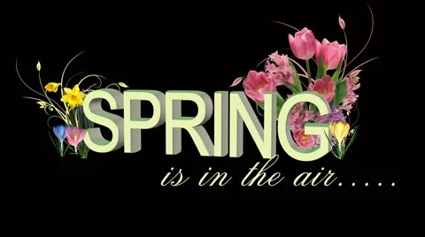 Spring Stock Footage 1020401