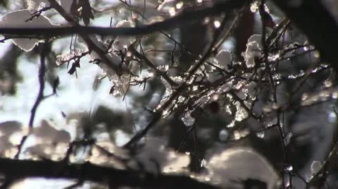 Spring Stock Footage 10720026