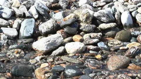 Spring Видео 10896288