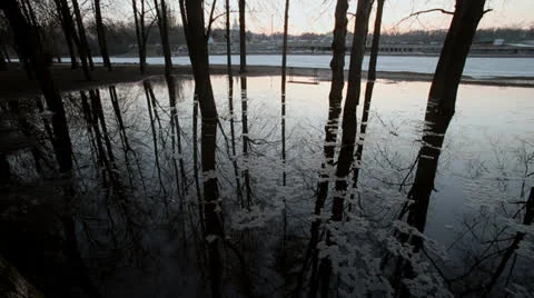 Spring Video stock 22662385