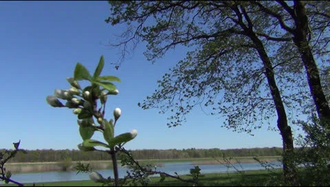 Spring Stockbeeldmateriaal 23180246