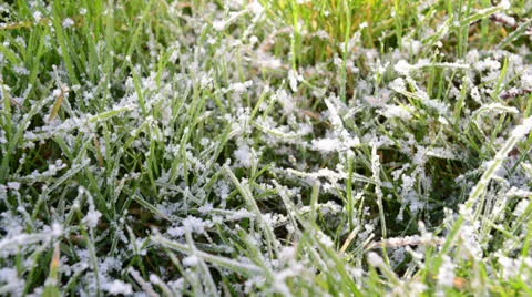 Spring Stock Footage 23317239