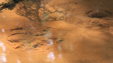 Spring Stock Footage 24717311