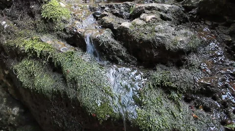 Spring Stock-Footage 29151590