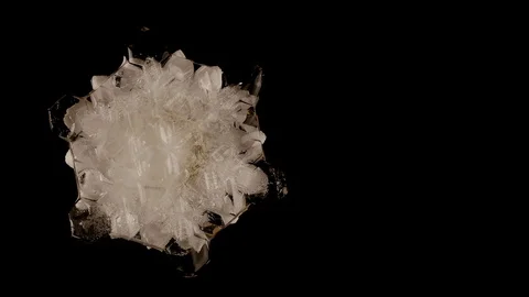 Spring Vídeo Stock 117337442