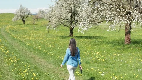 Spring Stock Footage 144046167