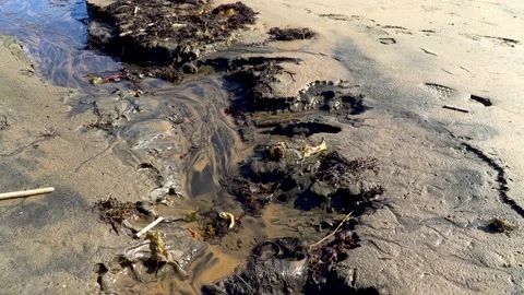 Spring. Stock Footage 194033455