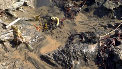 Spring. Stock Footage 194033471