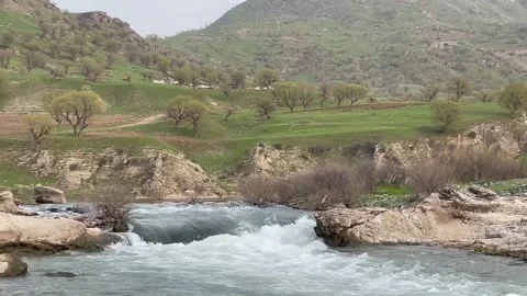 Spring 스톡 동영상 229945632