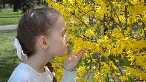 Spring Stock Footage 272621686