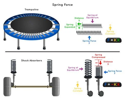 Spring Force Infographic Diagram for physics science education vector Stock Illustration
