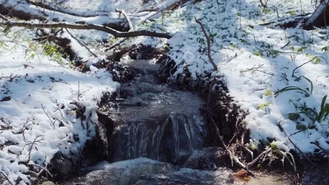 Spring forest after the snowfall. Springtime water stream Stock-Footage 241587936