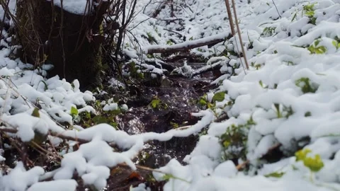 Spring forest after the snowfall. Springtime water stream Vídeos de archivo 241588446