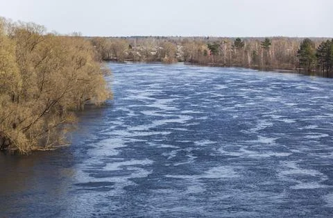Spring forest and floods. Reflection in the water. View from above. Stock Photos