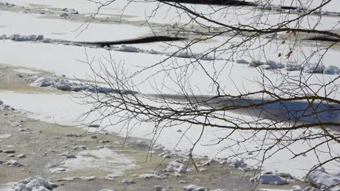 Spring, forest, and ice on the river 02 Stock Footage 250511342