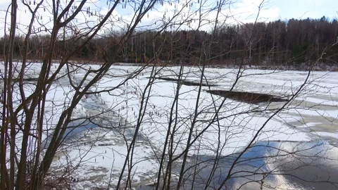 Spring, forest, and ice on the river 09 Stock Footage 250511699