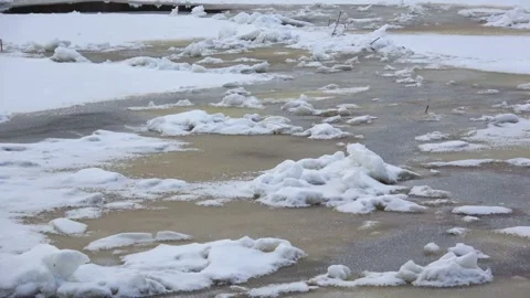 Spring, forest, and ice on the river 16 Stock Footage 250511934