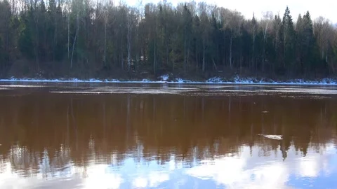 Spring, forest, and ice on the river 27 Stock Footage 250512191