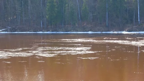 Spring, forest, and ice on the river 28 Stock Footage 250512227