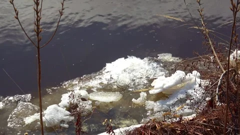 Spring, forest, and ice on the river 30 Stock Footage 250512293