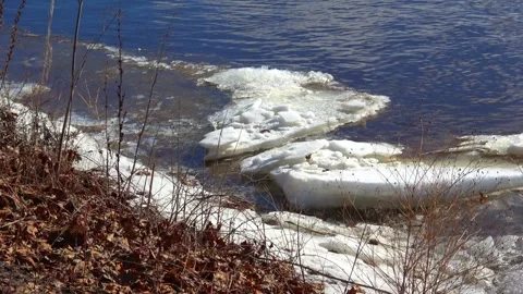 Spring, forest, and ice on the river 47 Stock Footage 250512585