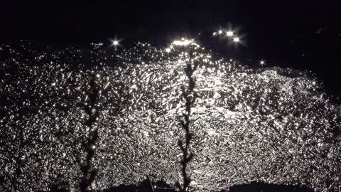 Spring, forest, and ice on the river 48 Stock Footage 250512665