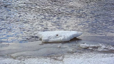 Spring, forest, and ice on the river 50 Stock Footage 250512726