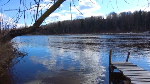 Spring, forest, and ice on the river 52 Stock Footage 250512739