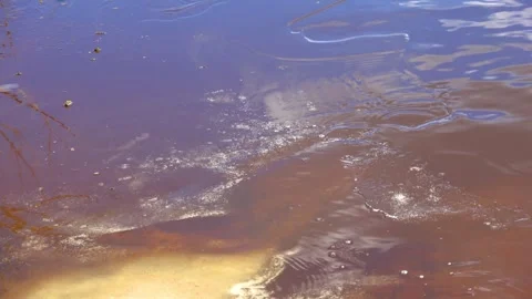 Spring, forest, and ice on the river 53 Stock Footage 250512772