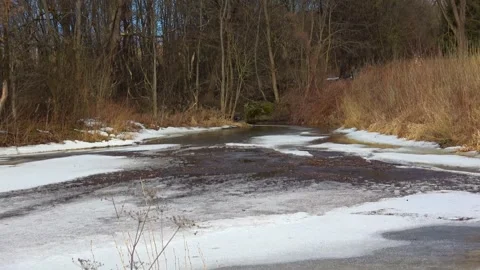 Spring, forest, and ice on the river 54 Stock Footage 250512784