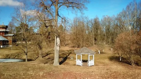 Spring, forest, and ice on the river 60 Stock Footage 250512900