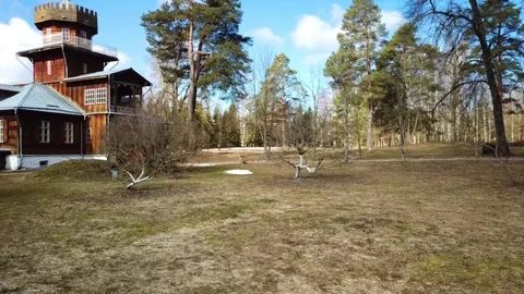 Spring, forest, and ice on the river 65 Stock Footage 250513074