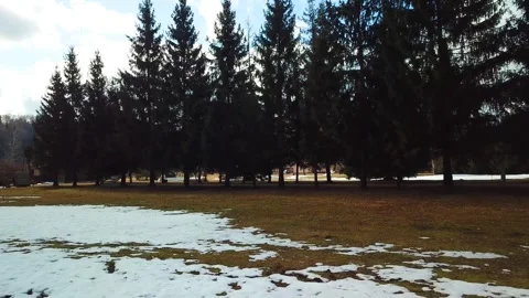 Spring, forest, and ice on the river 67 Stock Footage 250513123