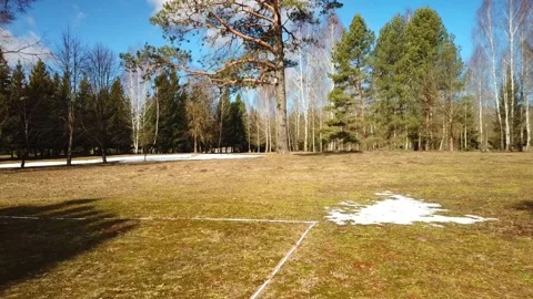 Spring, forest, and ice on the river 66 Stock Footage 250513143