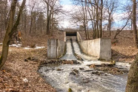Spring forest and sky Stock Photos