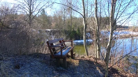 Spring, forest and Western Dvina river 10 Stock Footage 250435853