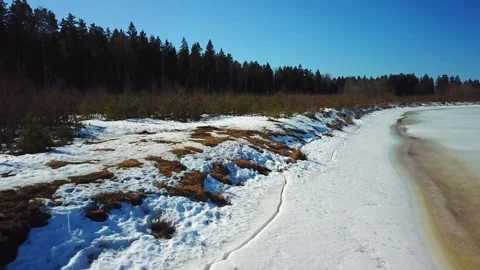 Spring, forest and Western Dvina river 31 Stock Footage 250436744