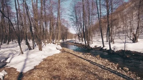 Spring forest in Bashkortostan, Russia Stock Footage 73960750