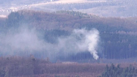 Spring forest on fire Stock Footage 73227058