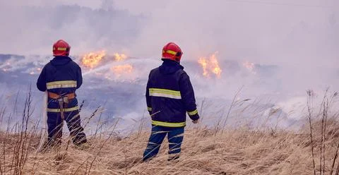 Spring forest fires are raging. Burning dry grass, reeds in the field. Grass Stock Photos